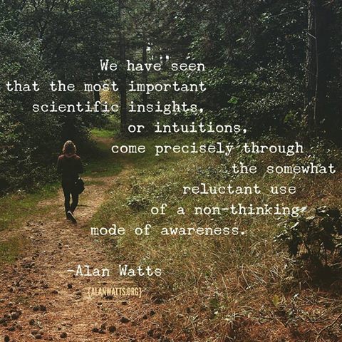 12974511_1766519593571188_3437844836183016306_n