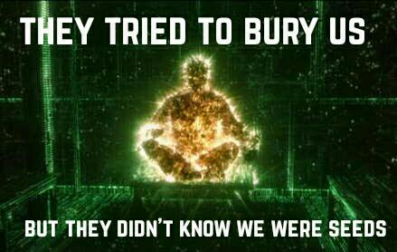 13332879_242342546146690_3428093915943815029_n