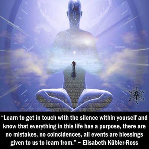 13507090_1726234514299196_3458147776561331372_n