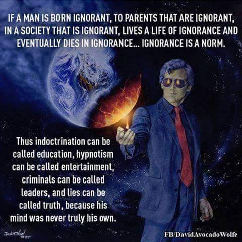 13620094_1166111260118005_640028241895248438_n