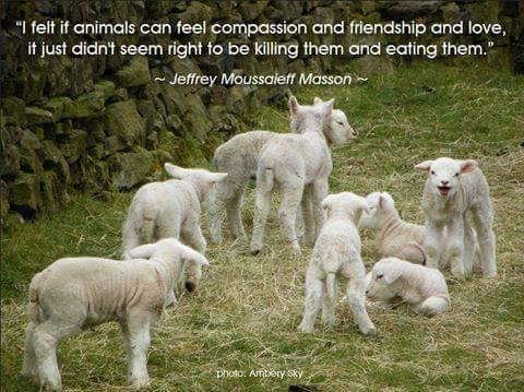 18194059_1450183488377446_7623891635165327130_n