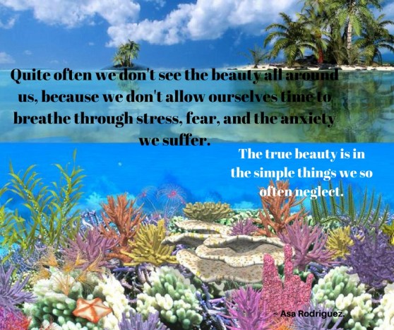_Imagination is where you can go after all the stress, the blaming, the arguments.When you retire to a place in silence and allow your thoughts to stop nagging, then you can feel your he