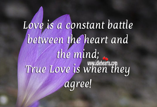 love-is-a-constant-battle-between-the-heart-and-the-mind