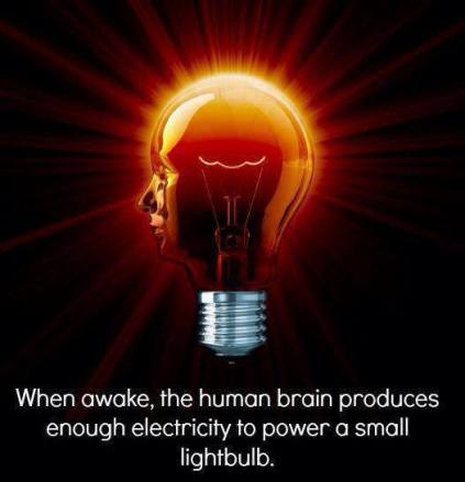 thehumanbrainproduceselectricity
