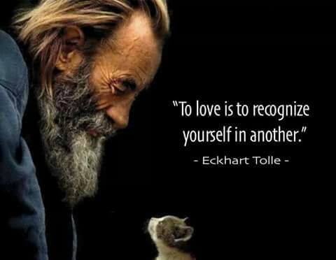 21369492_361448470955188_5039290144399066768_n