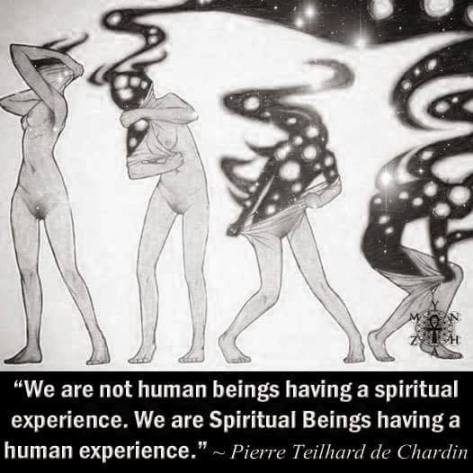 21369498_362607520839283_154562011569313140_n