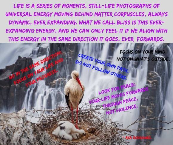 21430454_362795654153803_3310497094765091896_n