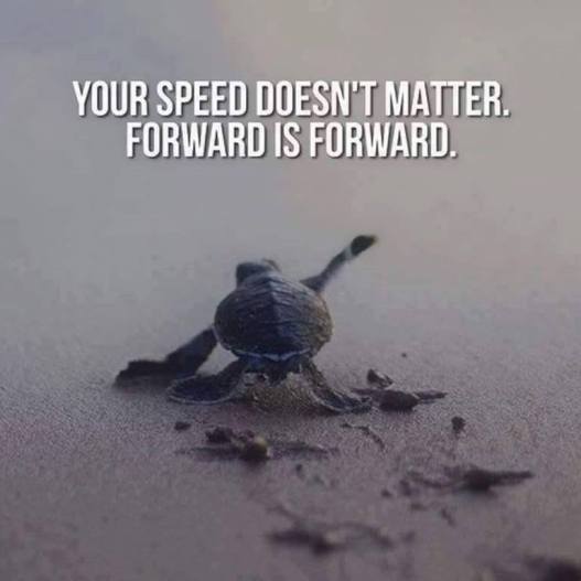 21751943_365351253898243_4093635707738524160_n