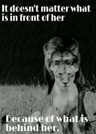 21761362_927489794074189_5813192147656292431_n