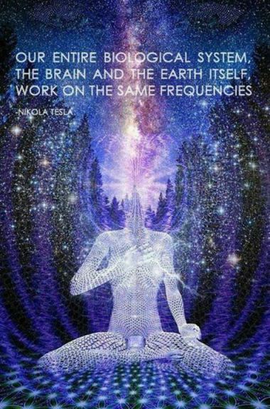 22221643_1282243901885254_1135509315554238717_n