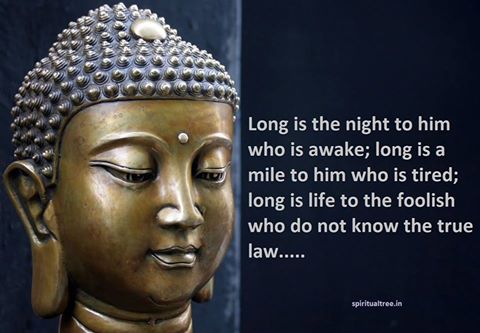 22279803_373267093106659_3423176555372665928_n