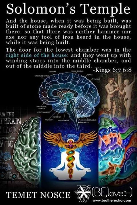 22310311_374750376291664_7976979563646735842_n