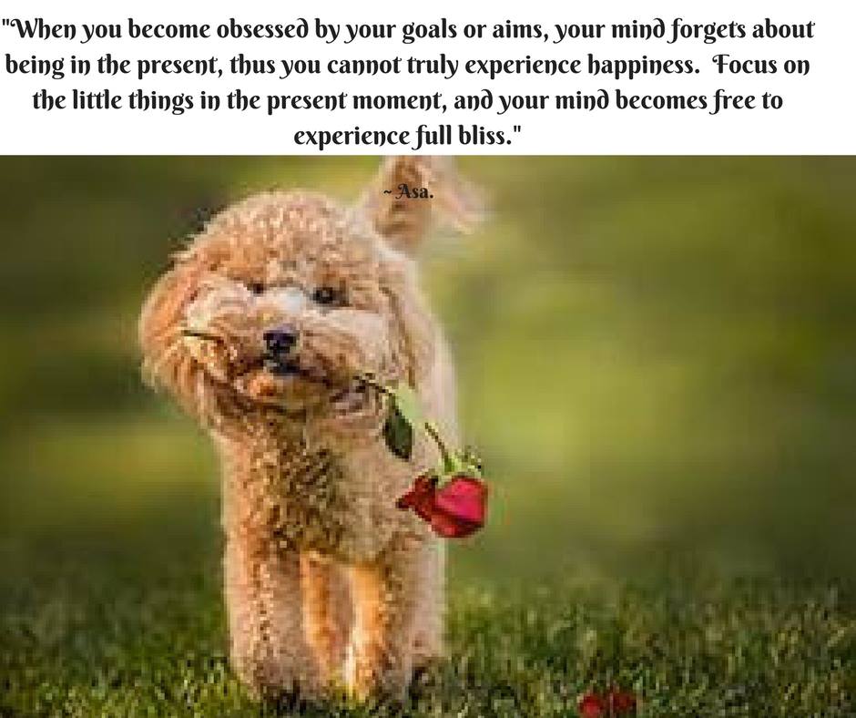 22851690_380040589095976_64333926580200130_n