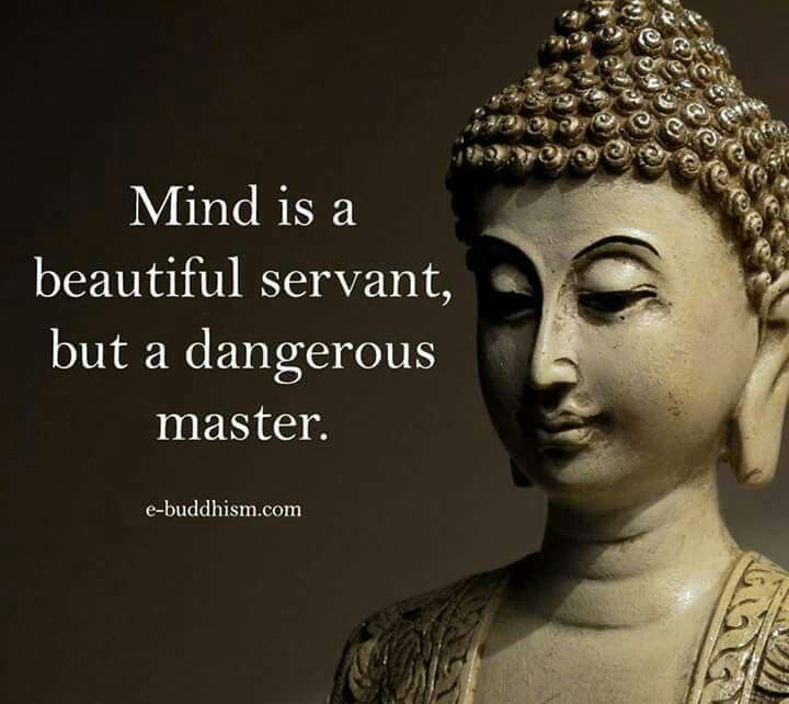 1e595516da8de5879175e18e01b85a01