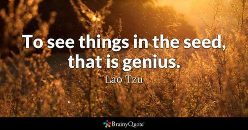 23722684_388867034879998_1047195842584844342_n