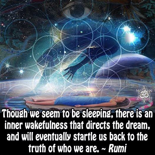 24058959_391194204647281_2028549147742727341_n