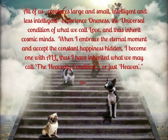 All creatures large and small, intelligent and less intelligent,