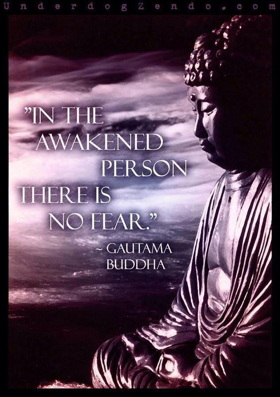 ba17a45f73f140ae1baf40411b0b9b1b