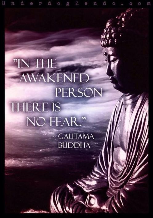 ba17a45f73f140ae1baf40411b0b9b1b