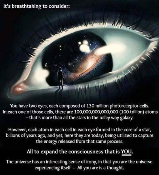 13686712_614427838732849_3758719776790406284_n