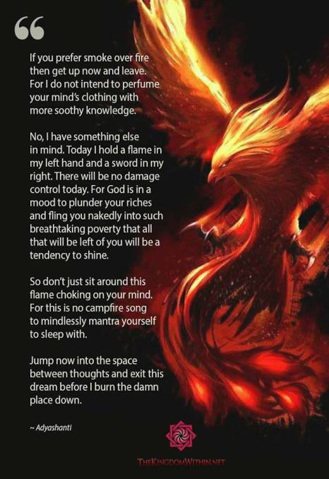 24796474_397698243996877_7927964346499168268_n