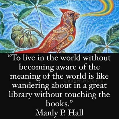 25158120_399161403850561_8920049015915322422_n