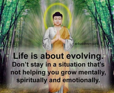 e20f422d44c4f898b5246c2a0bad4014