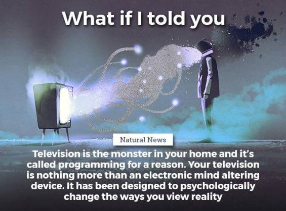 20376126_414902882276413_4173573513661797556_n