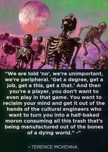 27750461_420838448349523_3929072569475205710_n