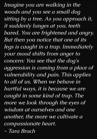 28378061_429035194196515_3012797142986129408_n