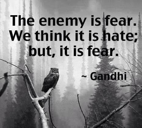 Fear quotes best images pics photos pictures (35)