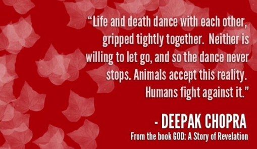 1413392243_8688_720x420_f1