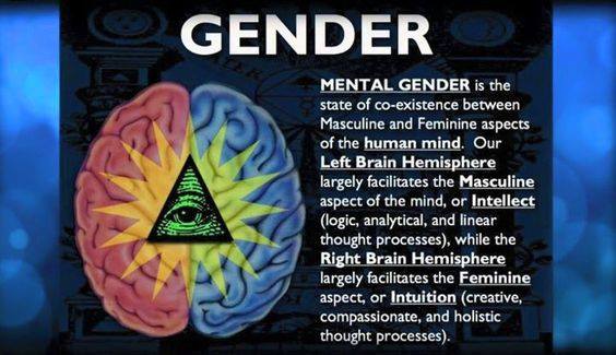 31676668_455786111521423_6577064818308546560_n