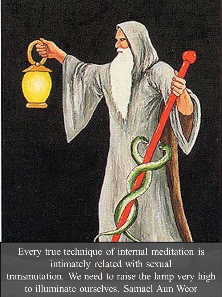 33691377_466328220467212_3721038113384955904_n