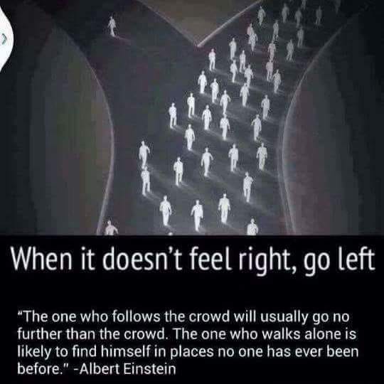 32261002_1261959163935400_6551728329488072704_n