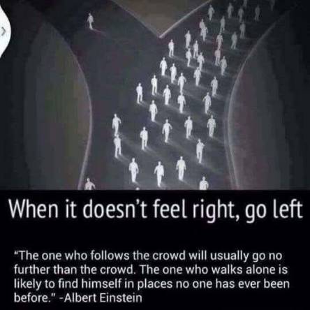 32261002_1261959163935400_6551728329488072704_n