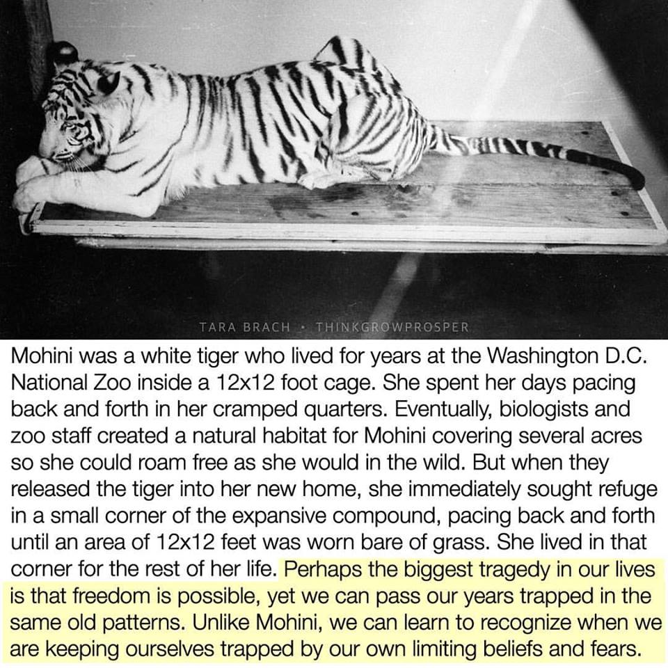 34021512_467524573680910_23175944176926720_n