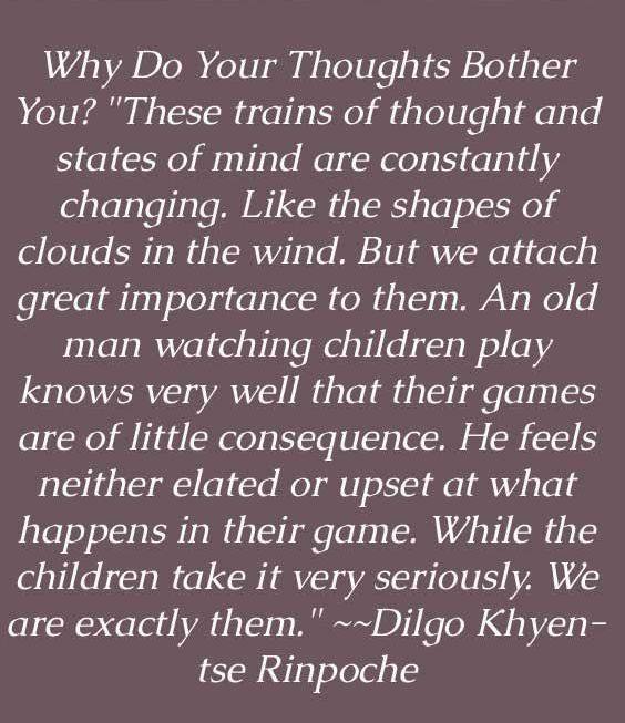 34135715_467569457009755_864316779105615872_n