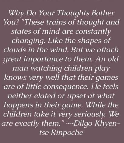 34135715_467569457009755_864316779105615872_n