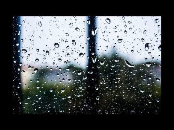 34584057_470599596706741_110386324569063424_n