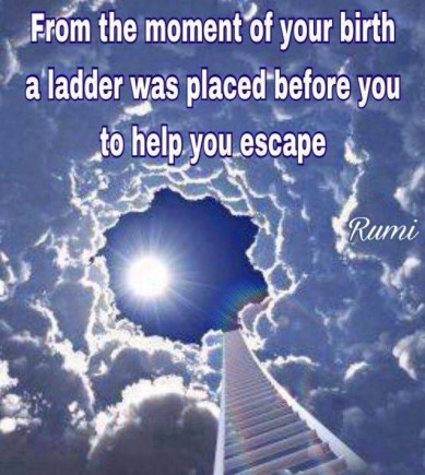 34838327_472057039894330_359202679198580736_n