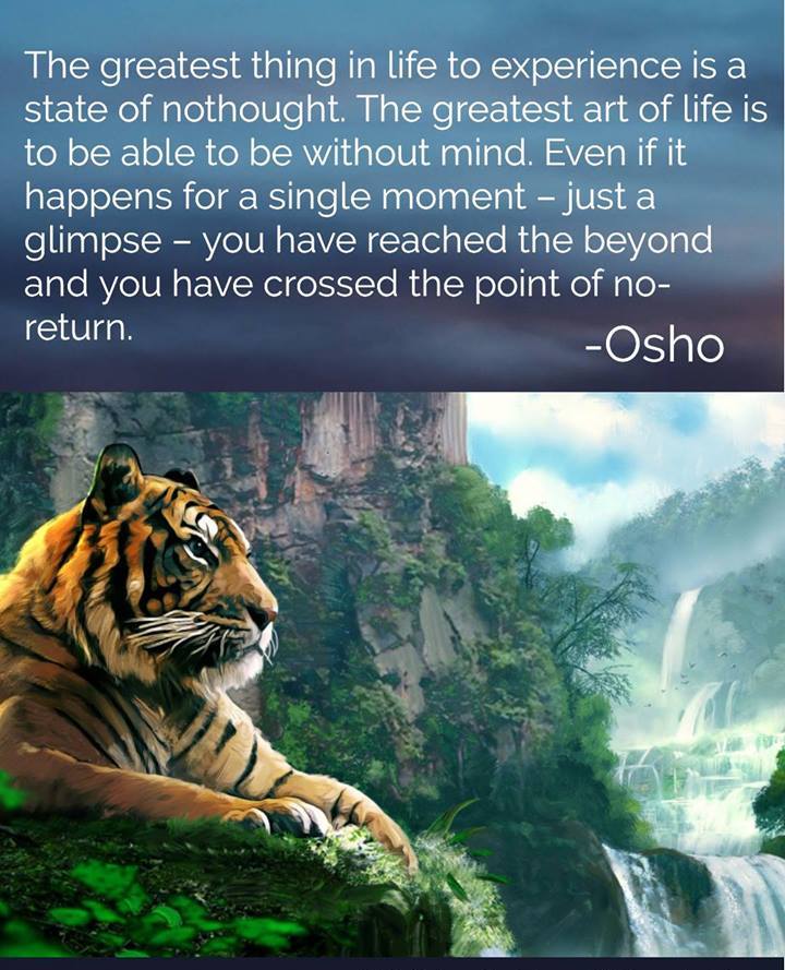 35686747_479603309139703_8236662313449422848_n