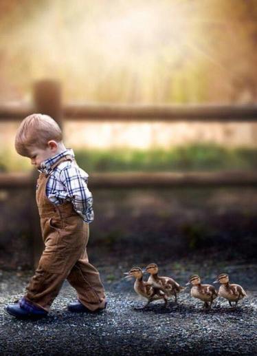 35975673_480348445731856_4468264699498070016_n