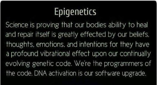 36176808_483250762108291_2645868096794918912_n