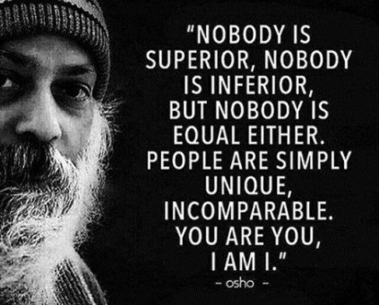 f133c9287a228b070db05d7f64313a45