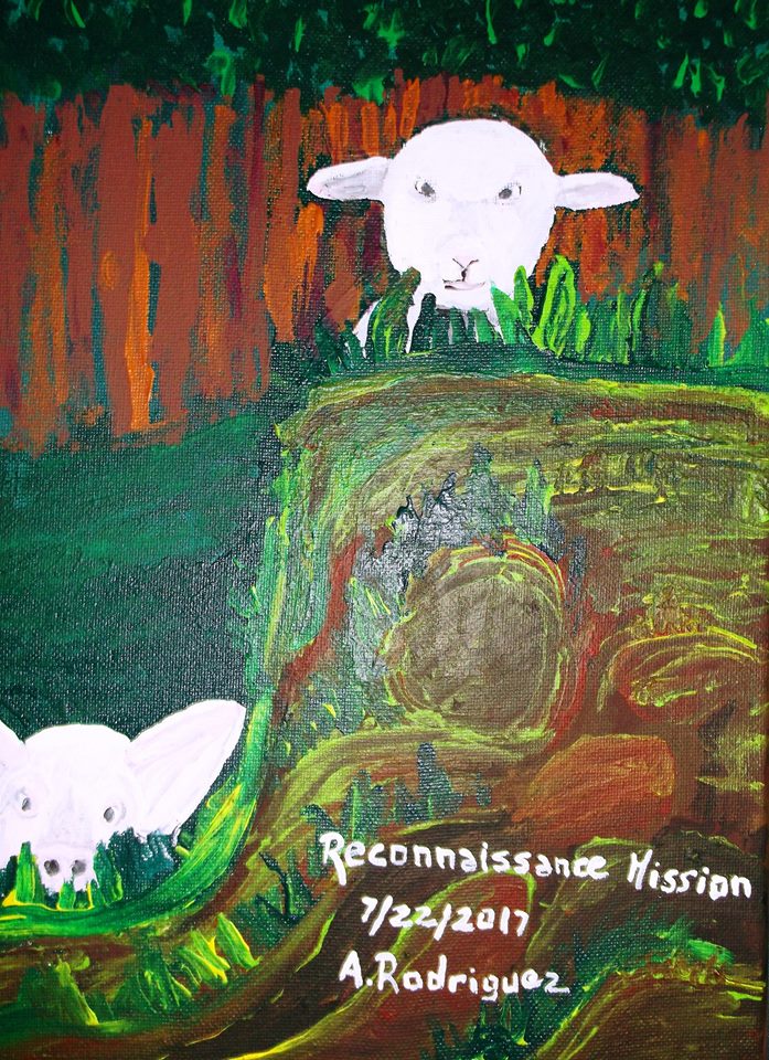 21192827_1588673251195135_5670212610026464609_n