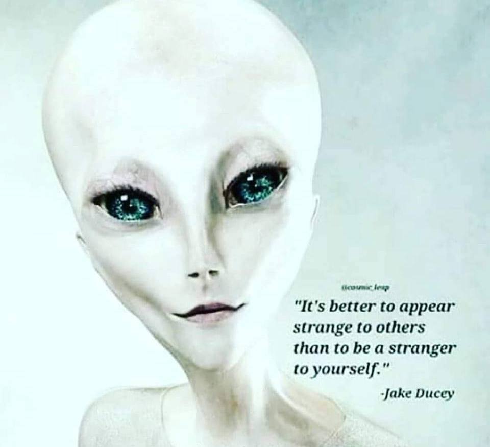 38662889_525485874551446_6980508267701075968_n