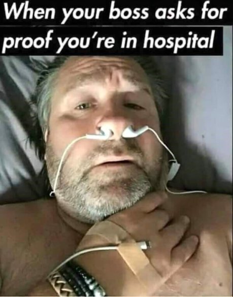 41803774_265469057635561_1590908920694571008_n