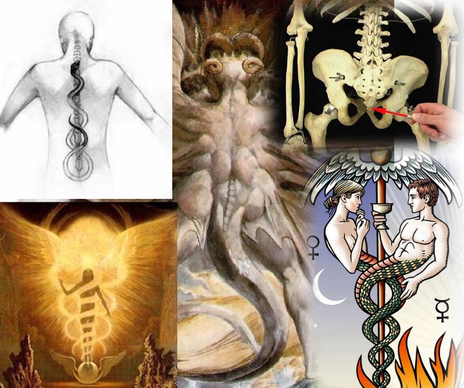 42151263_554631558303544_3439085553490853888_n