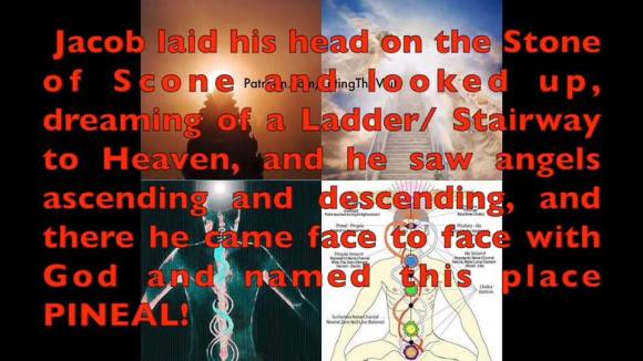 47680945_594316997668333_9118061324247498752_n